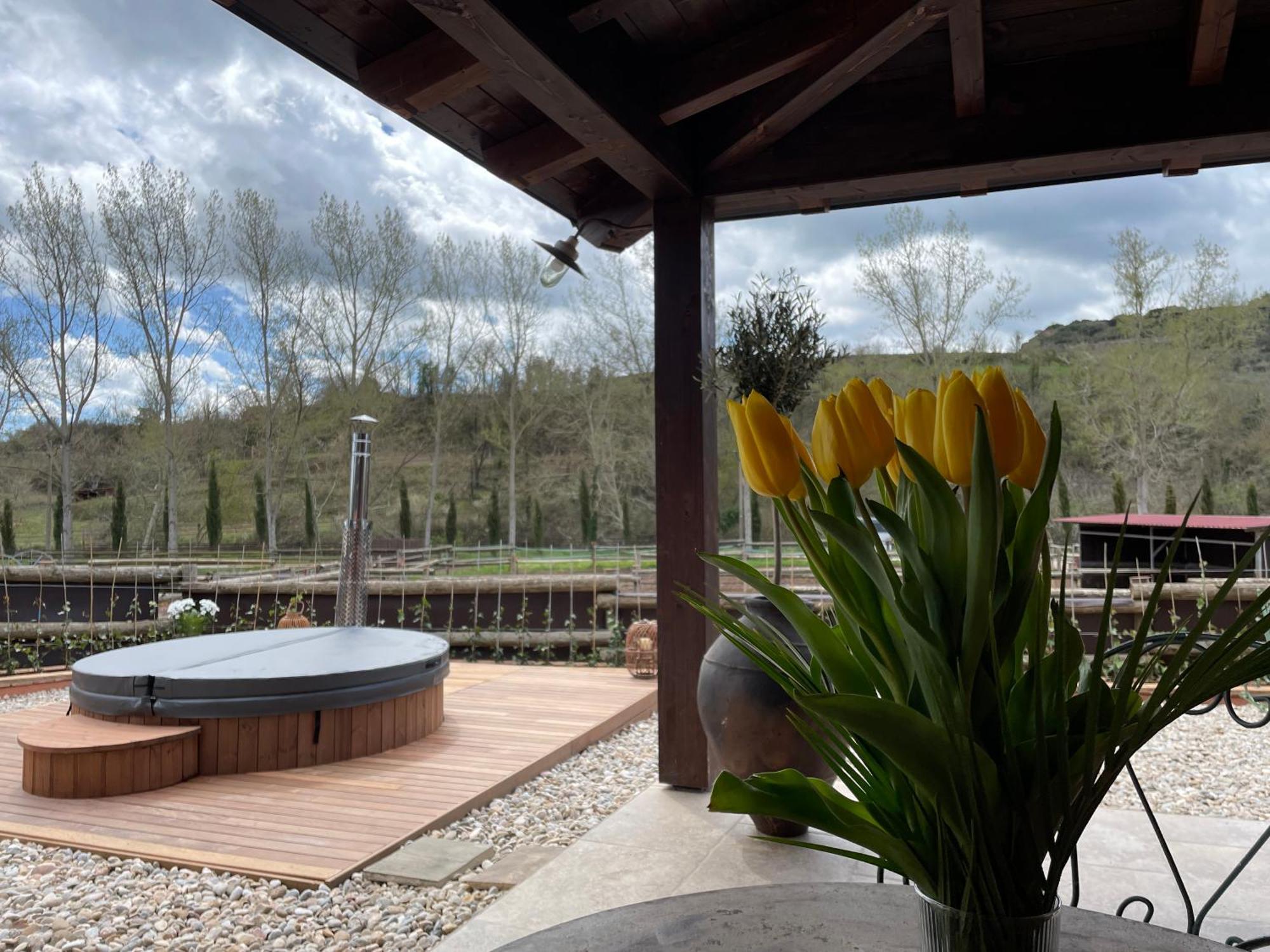 Touristic Ballonga Horses Appartement