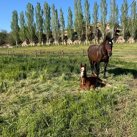 Touristic Ballonga Horses Solsona Buitenkant foto