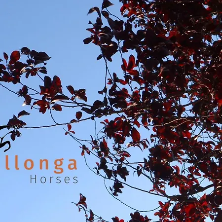 Touristic Ballonga Horses Solsona Buitenkant foto