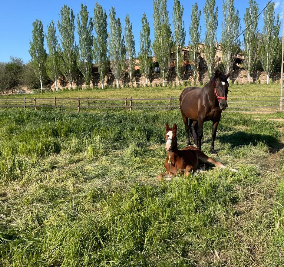 Apartment Touristic Ballonga Horses Solsona